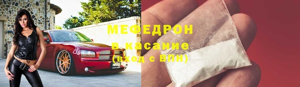 гашик Богданович