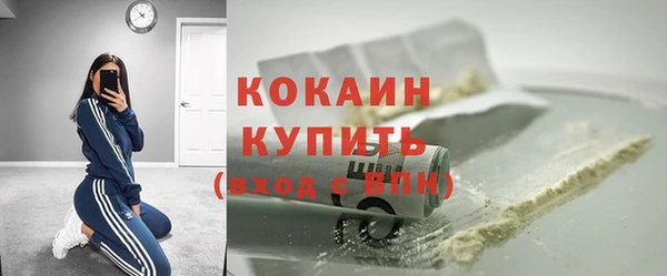 гашик Богданович