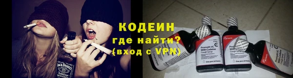 стаф Богородск