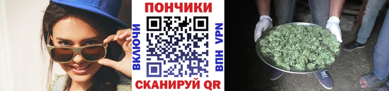 МАРИХУАНА конопля Петрозаводск