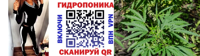 Бошки Шишки MAZAR  дарнет шоп  Петрозаводск 